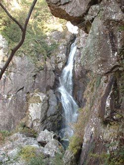 Dscf053.jpg